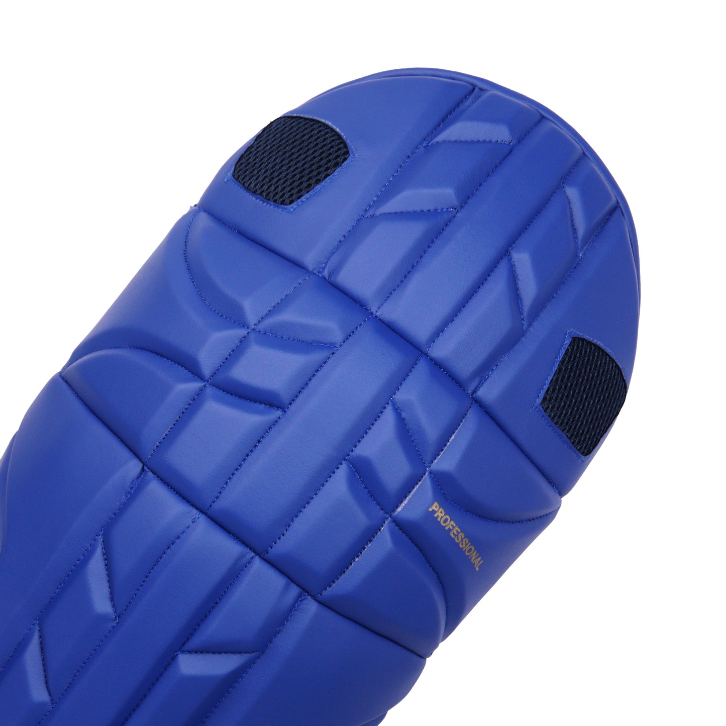 SLUGGER Professional Blue series combo of Cricket Batting leg guards/pads and Gloves